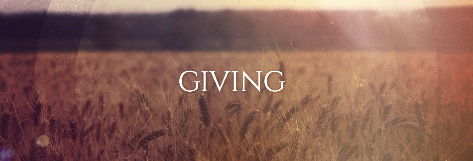 Field of Wheat Website Banner